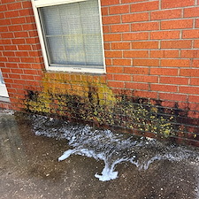 Professional-Multi-Family-Cleaning-Project-in-Springdale-AR 7